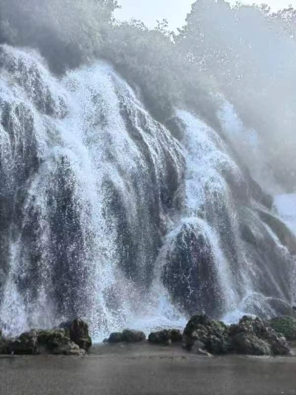 牛油果面包