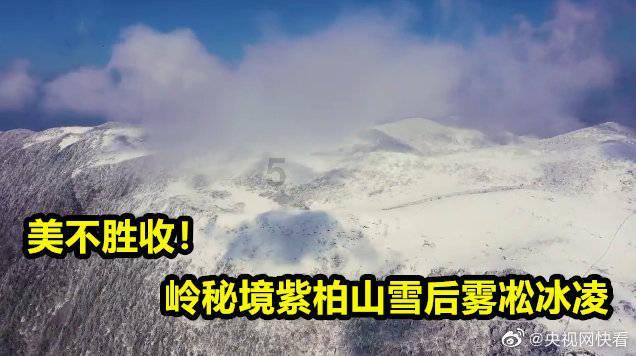 职场新人，什么行为最让人反感？游戏画面