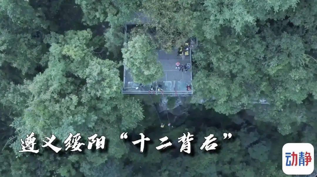 咖啡自由真的来了 炭仌900ML大包装黑咖定价9.9元