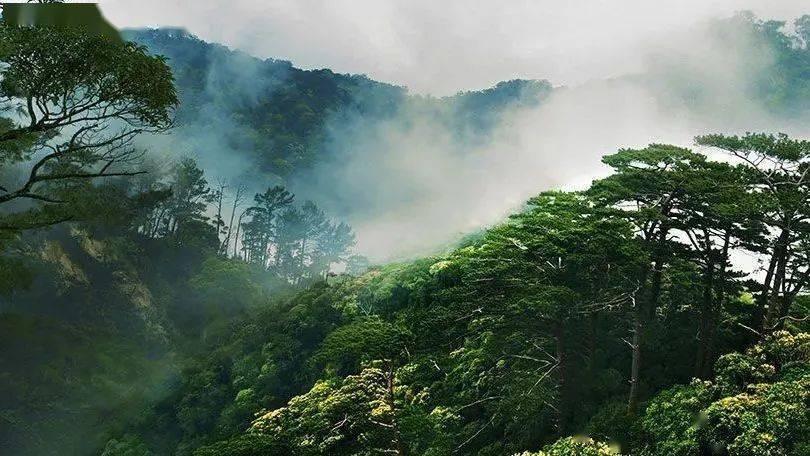 继往开来一甲子,中法友谊续新篇