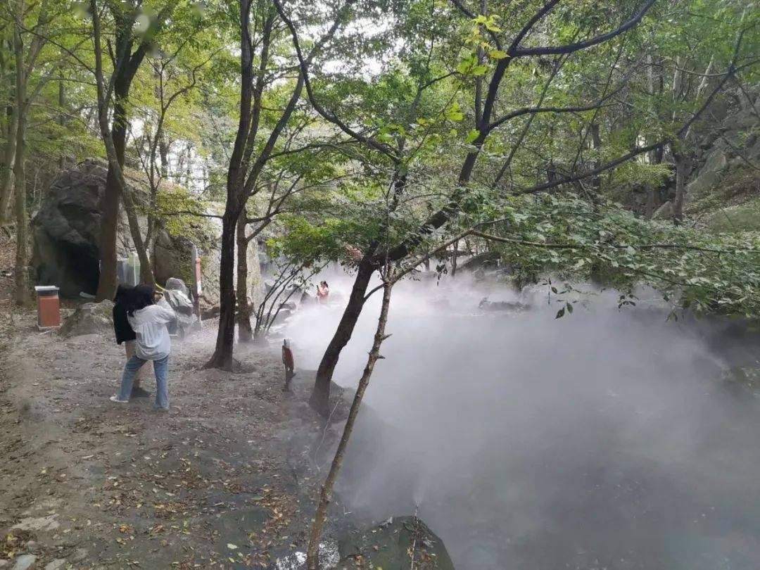 卫宁健康：预计随着关于浦东新区这一重大战略部署的实施落地，公司将从中受益
