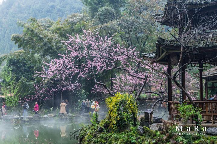 救援水管工