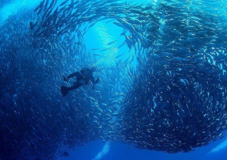 街边“秘制”老汤，不放一丝肉，顾客却抢着买：生意好全靠这招