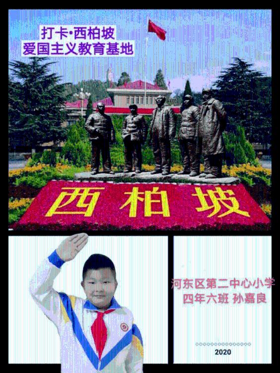 小太阳鹦鹉几个月一岁？游戏画面