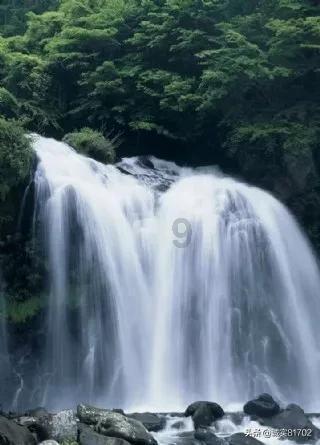 九泰智库 | 药械周刊- Vol.05