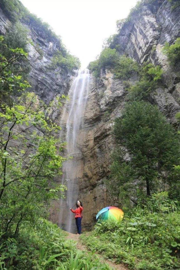 【钱币日报】九龙币之鸿运当头