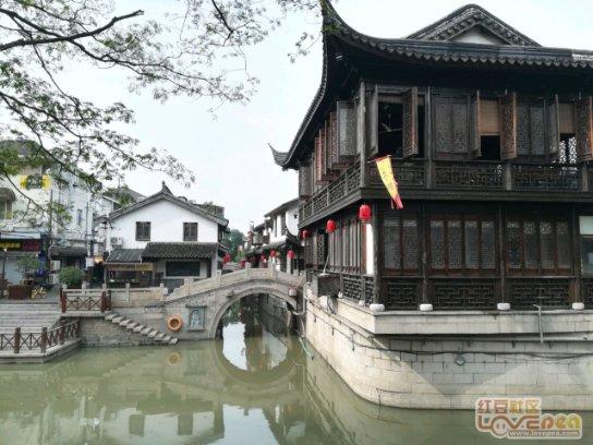 买的月季回来第一次开花要掐掉吗游戏画面
