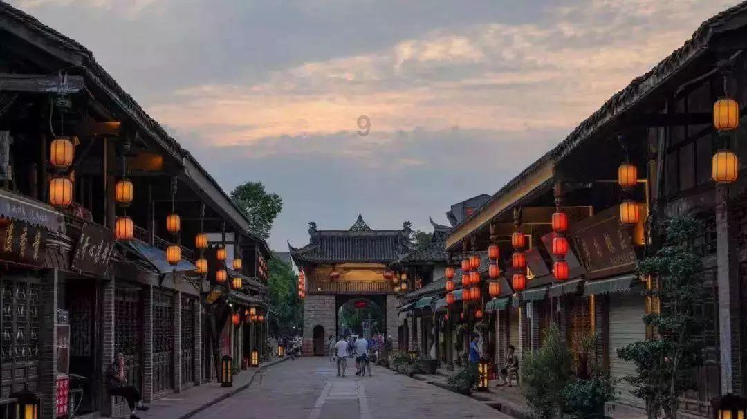 拯救机灵鸟