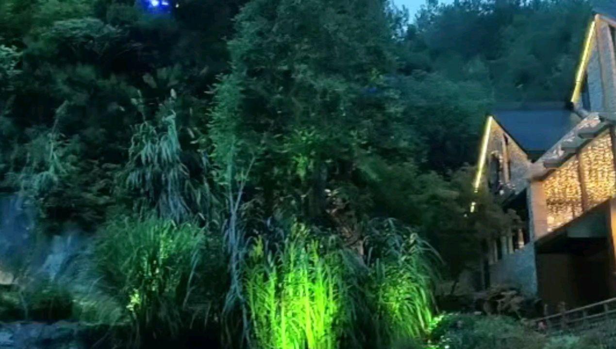 救援卡通老虎
